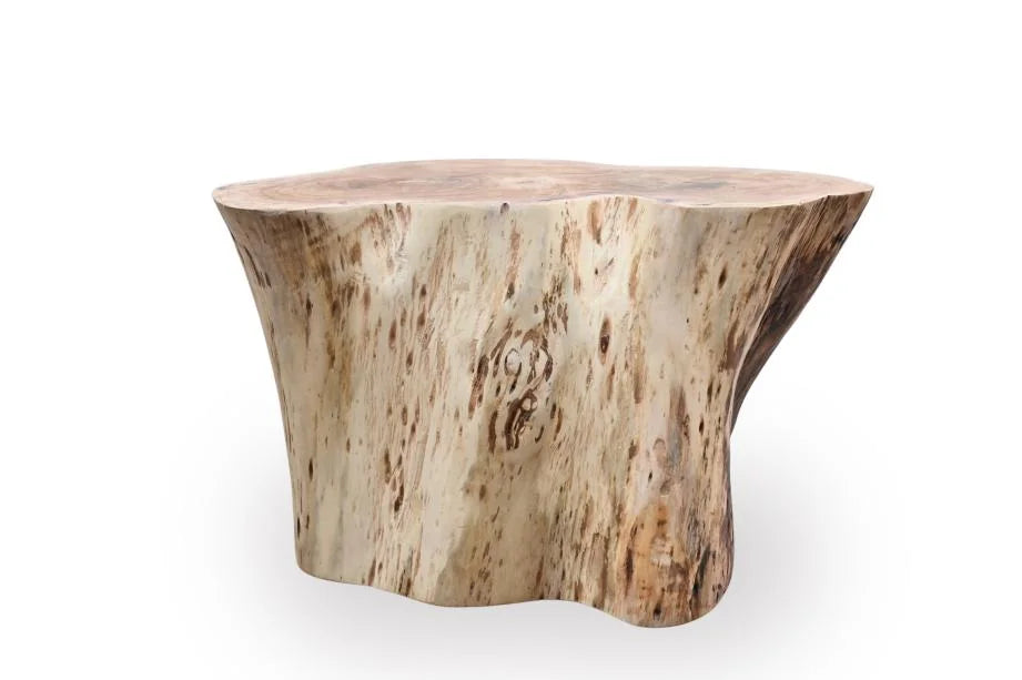Tree Root Coffee Table in Natural Mango Wood - front view