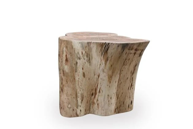 Tree Root Coffee Table in Natural Mango Wood - side view