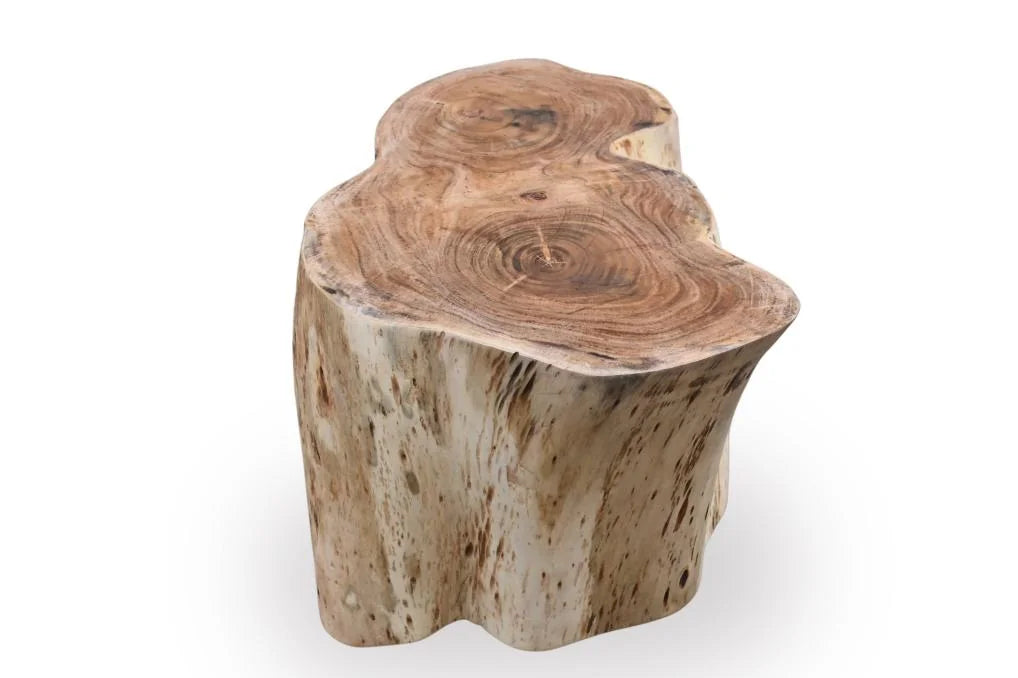 Tree Root Coffee Table in Natural Mango Wood - top angle view